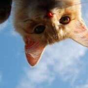 こはる こはるです(﹡´◡`﹡ ) 奥鉄オクテツ神奈川店（デリヘル市場グループ）