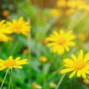 こはる 12時過ぎ ○○○○様 奥鉄オクテツ神奈川店（デリヘル市場グループ）