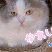 ヒメ日記 2025/04/15 15:55 投稿 雪見 おとなのわいせつ倶楽部 本厚木店