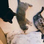 ヒメ日記 2025/08/21 17:04 投稿 雪見 おとなのわいせつ倶楽部 本厚木店