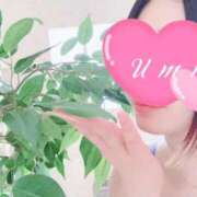 ヒメ日記 2025/05/08 20:15 投稿 うみ アラビアンナイト