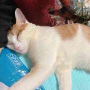 ヒメ日記 2025/08/05 17:56 投稿 りん 太田人妻城