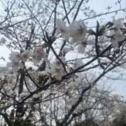 ヒメ日記 2026/03/31 14:56 投稿 りん 太田人妻城