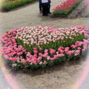 ヒメ日記 2025/04/30 13:12 投稿 つぐみ モアグループ神栖人妻花壇