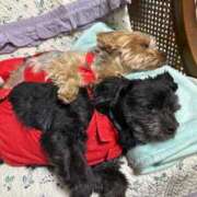 ヒメ日記 2025/05/07 23:27 投稿 つぐみ モアグループ神栖人妻花壇