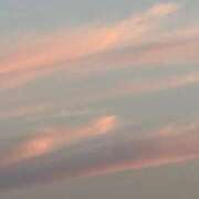 ヒメ日記 2025/07/20 22:59 投稿 つぐみ モアグループ神栖人妻花壇