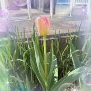 ヒメ日記 2025/08/04 21:35 投稿 つぐみ モアグループ神栖人妻花壇