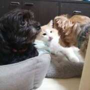 ヒメ日記 2025/08/12 09:27 投稿 つぐみ モアグループ神栖人妻花壇