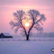 ヒメ日記 2026/02/07 18:42 投稿 つぐみ モアグループ神栖人妻花壇