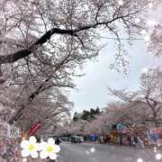 ヒメ日記 2026/04/03 12:03 投稿 つぐみ モアグループ神栖人妻花壇