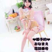 ヒメ日記 2025/04/09 21:51 投稿 うい ホワイトハウス