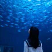 ヒメ日記 2025/11/05 13:06 投稿 うい ホワイトハウス