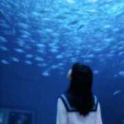 ヒメ日記 2025/11/11 15:15 投稿 うい ホワイトハウス