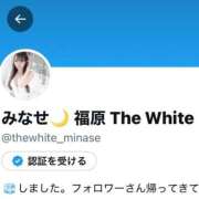 みなせ X凍結しました😭 The White