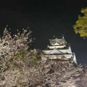 ヒメ日記 2026/04/20 00:02 投稿 みなせ The White