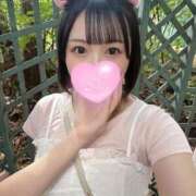 ヒメ日記 2025/10/03 13:37 投稿 よる IRIS一宮