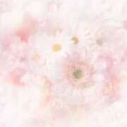 ヒメ日記 2025/07/03 14:21 投稿 みのり★地元産清楚系美少女★ いわきNo.1デリバリーヘルス　KiRaRi