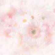 ヒメ日記 2025/08/04 14:48 投稿 みのり★地元産清楚系美少女★ いわきNo.1デリバリーヘルス　KiRaRi