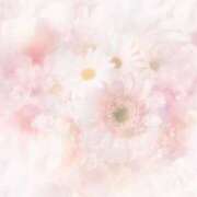 ヒメ日記 2025/10/08 12:24 投稿 みのり★地元産清楚系美少女★ いわきNo.1デリバリーヘルス　KiRaRi