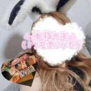 ヒメ日記 2025/06/06 12:39 投稿 綾瀬　えみ 熟女パラダイス甲府店（カサブランカグループ）