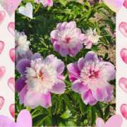 ヒメ日記 2025/06/09 08:03 投稿 綾瀬　えみ 熟女パラダイス甲府店（カサブランカグループ）