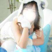 ヒメ日記 2025/08/16 12:05 投稿 まき シルクハット