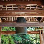 ヒメ日記 2025/12/31 20:30 投稿 まき シルクハット