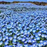 ヒメ日記 2025/04/16 11:13 投稿 ちい 待ちナビ