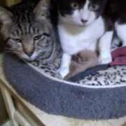 ヒメ日記 2025/04/16 23:15 投稿 ちい 待ちナビ