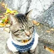 ヒメ日記 2025/04/22 11:25 投稿 ちい 待ちナビ