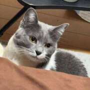 ヒメ日記 2025/04/23 11:11 投稿 ちい 待ちナビ