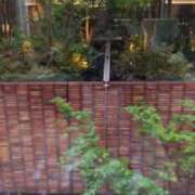 ヒメ日記 2025/04/23 15:55 投稿 ちい 待ちナビ