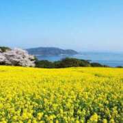 ヒメ日記 2025/04/25 13:26 投稿 ちい 待ちナビ