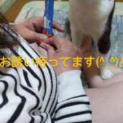 ヒメ日記 2025/04/29 13:23 投稿 ちい 待ちナビ