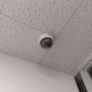 ヒメ日記 2025/04/30 11:55 投稿 ちい 待ちナビ