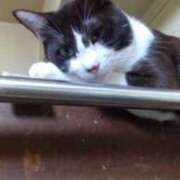 ヒメ日記 2025/05/02 11:15 投稿 ちい 待ちナビ