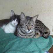 ヒメ日記 2025/05/07 18:55 投稿 ちい 待ちナビ