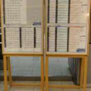 ヒメ日記 2025/05/09 11:18 投稿 ちい 待ちナビ