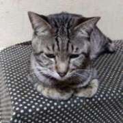 ヒメ日記 2025/05/10 17:35 投稿 ちい 待ちナビ