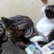 ヒメ日記 2025/05/24 22:25 投稿 ちい 待ちナビ