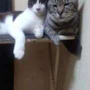 ヒメ日記 2025/08/22 14:15 投稿 ちい 待ちナビ