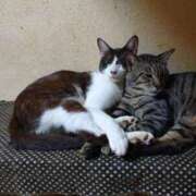 ヒメ日記 2025/10/17 18:48 投稿 ちい 待ちナビ