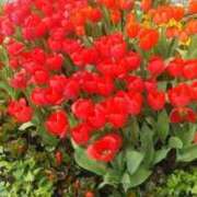 ヒメ日記 2026/02/19 08:05 投稿 ちい 待ちナビ