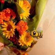 ヒメ日記 2026/04/13 10:45 投稿 ちい 待ちナビ