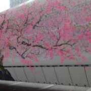 ヒメ日記 2026/04/14 14:01 投稿 ちい 待ちナビ