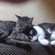 ヒメ日記 2026/04/16 11:17 投稿 ちい 待ちナビ