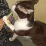 ヒメ日記 2026/04/17 06:05 投稿 ちい 待ちナビ