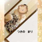 ヒメ日記 2025/11/05 23:22 投稿 月野真理(つきのまり) 姫路マダム大奥