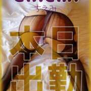 ヒメ日記 2025/05/30 09:00 投稿 千恵美(ちえみ) 高知デリヘル倶楽部 人妻熟女専門店
