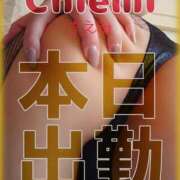 ヒメ日記 2025/06/01 09:00 投稿 千恵美(ちえみ) 高知デリヘル倶楽部 人妻熟女専門店